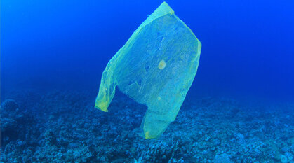 A plastic bag in the ocean