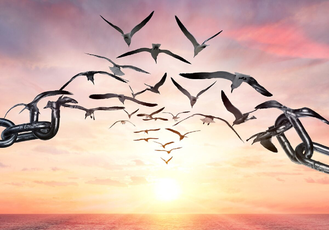 Painting of a chain breaking and become doves flying towards a sunset