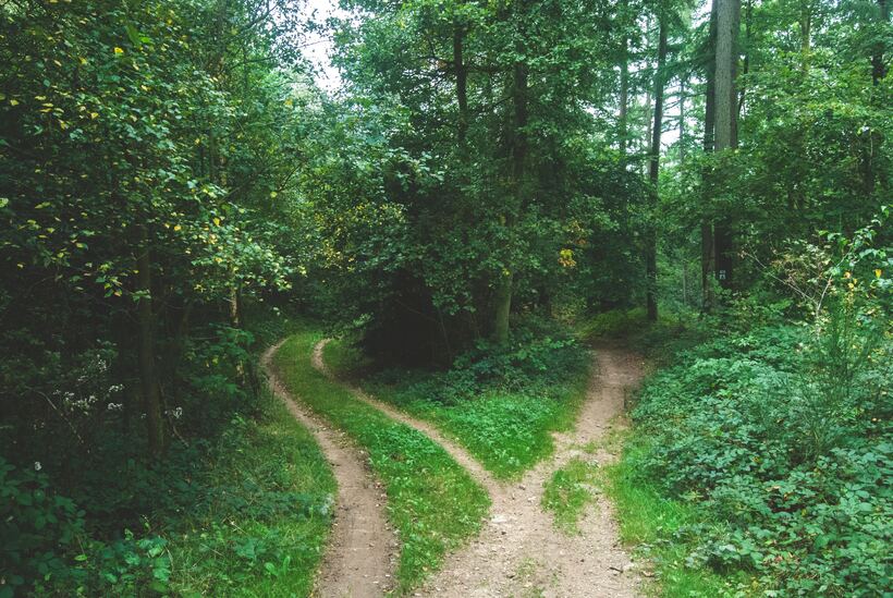 Quakers are on the right path – but can we do more? Photo: Jens Lelie/Unsplash