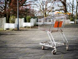 Why are there foodbanks in a rich country?