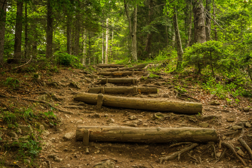 Quakers are taking steps to learn more about diversity and inclusion. Photo by John Thomas on Unsplash.