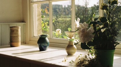 sunlight streaming through an old window frame. Light shines on to a marbled blue vase in the window and a pot of greenery and white flowers
