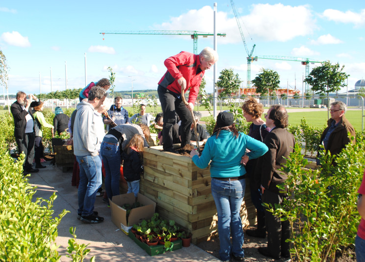 People digging in a garden