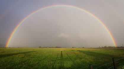 A rainbow over a field