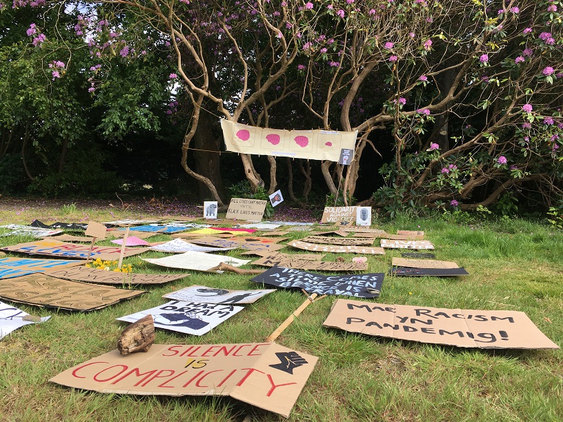 many BLM placards laid on grass