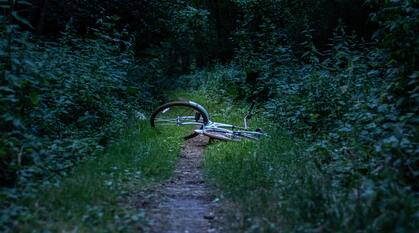 A blue bicycle abandoned on a woodland path