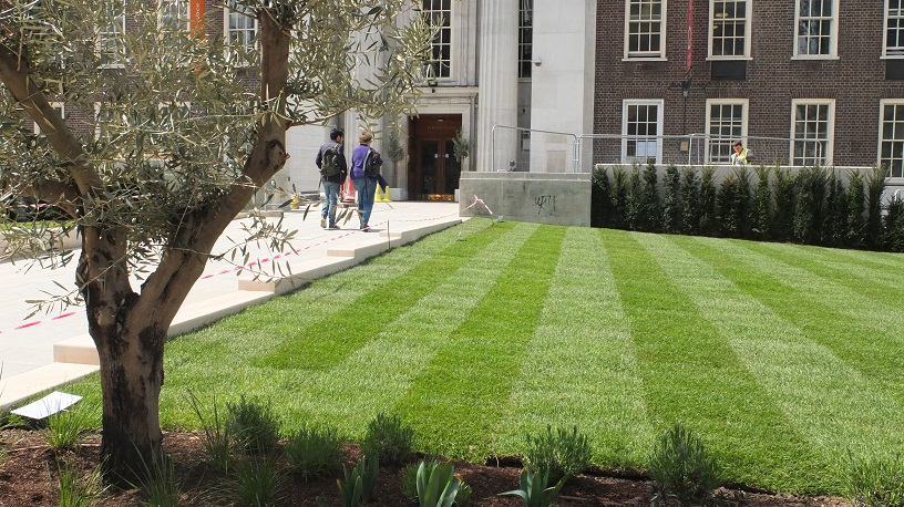 neat lawn in front of friends house