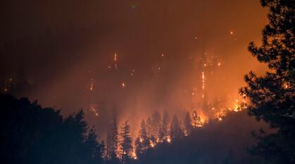 nighttime picture of a valley of a forest on fire. The trees are silhouetted on a background of burning orange and smoke creates a hazy glow in the night sky above. 