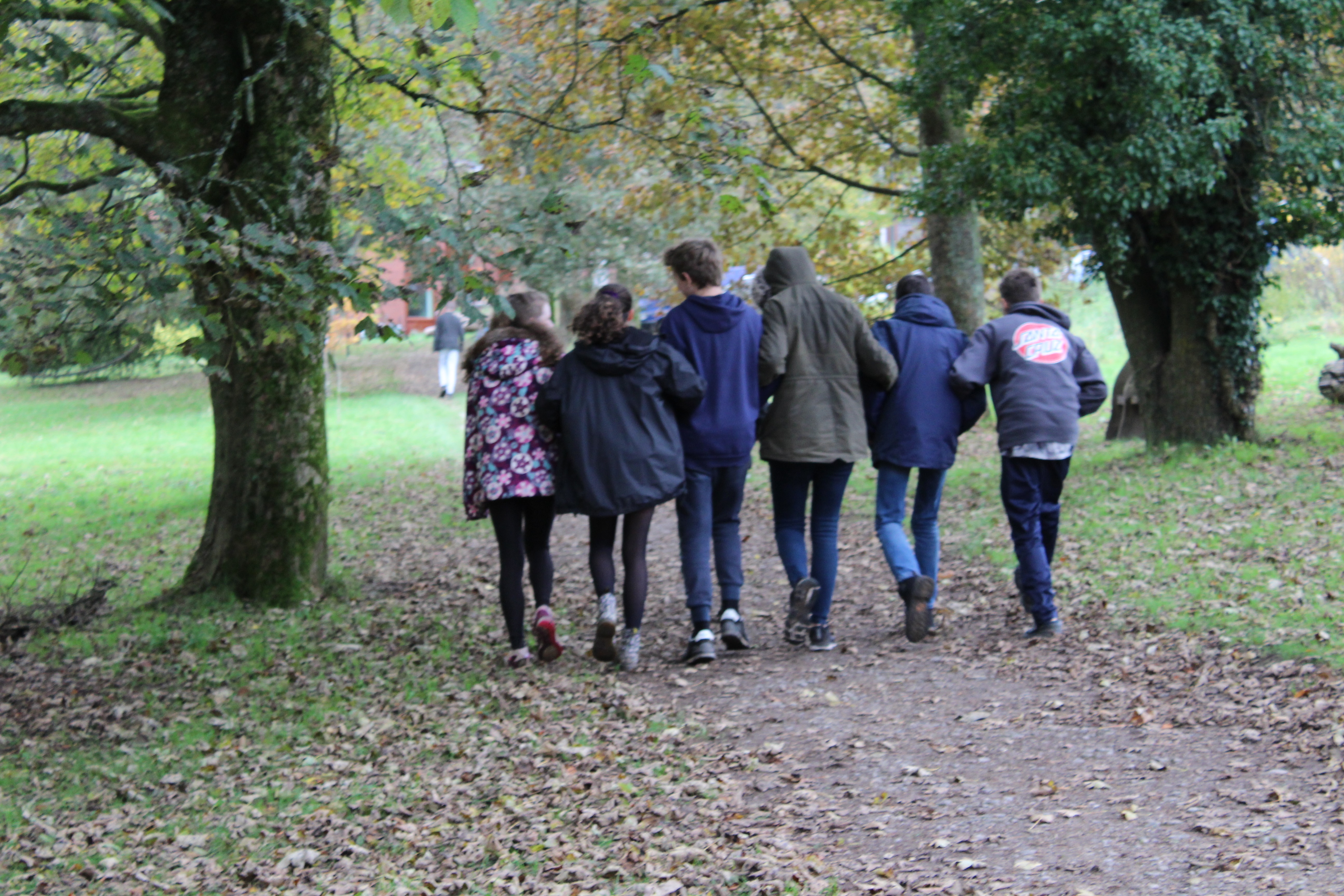 Younng people walking arm in arm through woods.