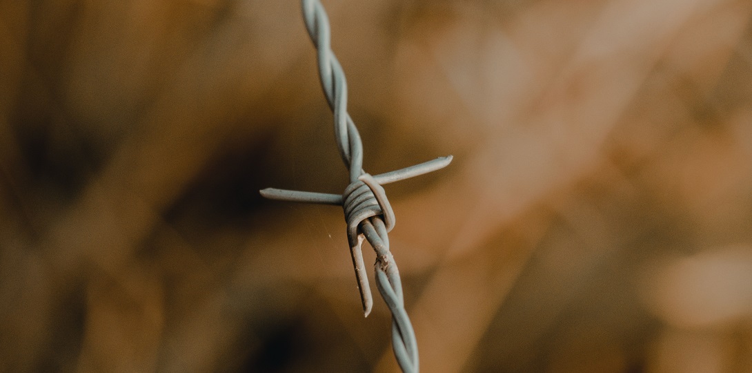A photograph of a piece of barbed wire