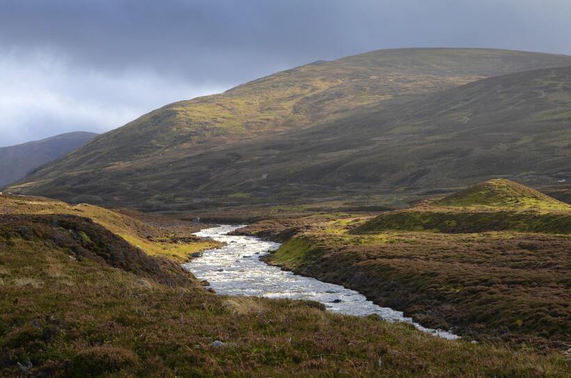 The ownership of land remains highly concentrated and opaque. Photo by <a href="https://unsplash.com/@chrisflexen?utm_source=unsplash&utm_medium=referral&utm_content=creditCopyText">Chris Flexen</a> on <a href="https://unsplash.com/photos/1-wfv8lrEAs?utm_source=unsplash&utm_medium=referral&utm_content=creditCopyText">Unsplash</a>.