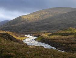 Land reform in Scotland