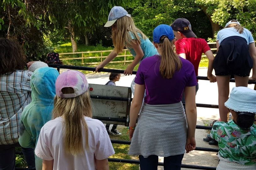 young people climbing gate