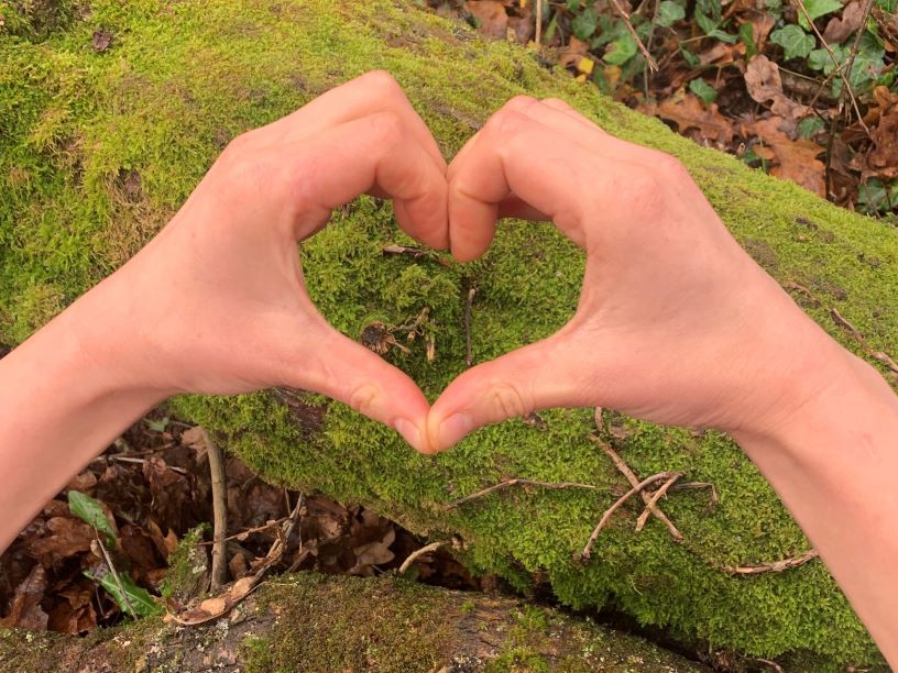 heart hands over mossy tree