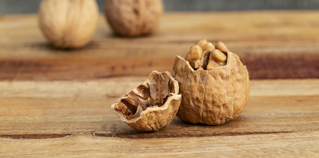 A walnut poking out of a broken shell