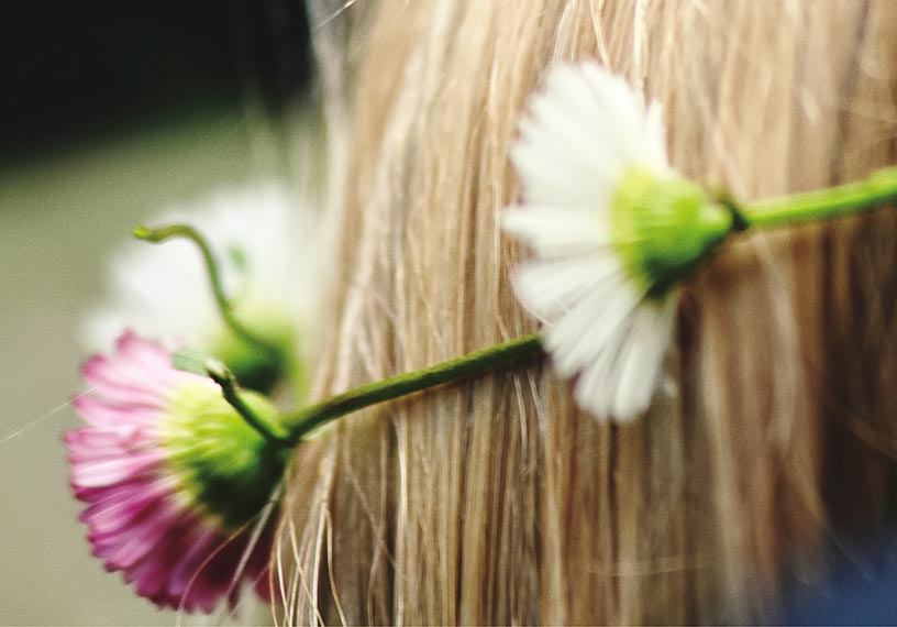 daisy chain