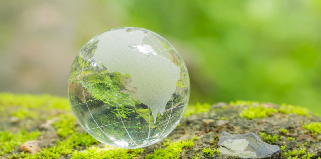 A picture of a clear glass marble on a mossy stone