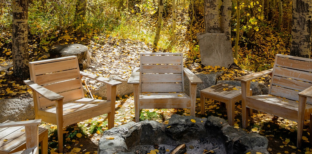 A group of chairs in a forest setting