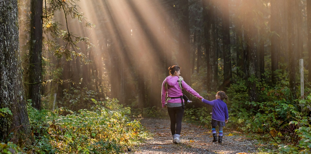 An adult and a child walking through woodland with bright rays of sunlight shining on them.