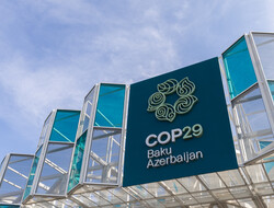 Finance and false solutions at COP29