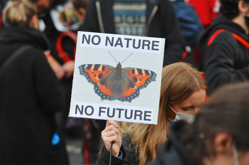 This is the best chance yet for the Climate and Nature Bill to be passed into legislation. Photo: Michael Preston for Britain Yearly Meeting