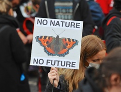 Why supporting the Climate and Nature Bill matters