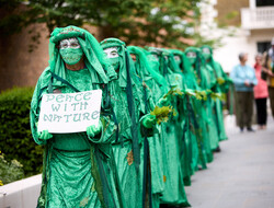 Voices for climate and nature in parliament