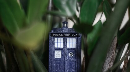 A model of a blue police box hiding in some undergrowth